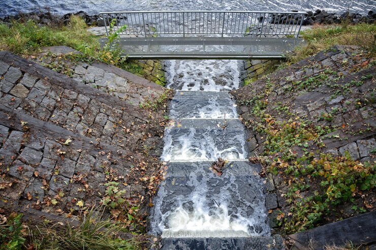 granite falls fish ladder
